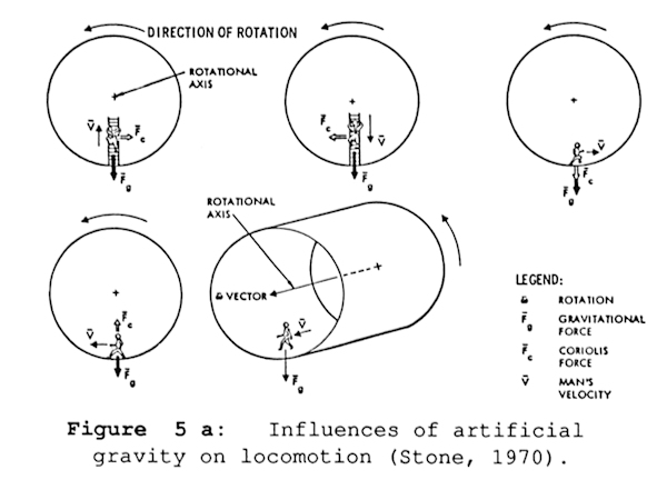 Influences of artificial gravity on locomotion (Stone, 1970)